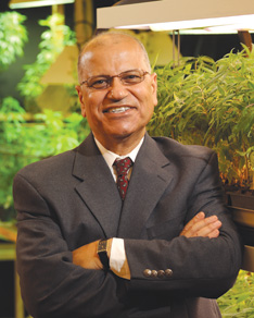 Mahmoud A. ElSohly