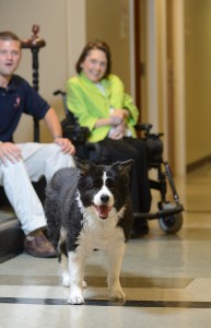 Harper, director of the UM Center for Educational Research and Evaluation, and Sonny