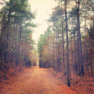 Thacker Mountain Rail Trail