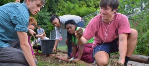 UM Student Housing Day of Service volunteer Giovanni Lavermicocca Ciccone examines a large earthworm he unearthed while weeding in the Oxford Boys and Girls Club garden. Photo by Robert Jordan/Ole Miss Communications