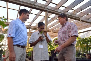 NCNPR staff members Robert Cooper (left), Lal Jayaratna and Ed Lowe examine medicinal plants at the center’s garden. Photo by Robert Jordan/Ole Miss Communications
