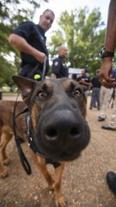 Photo by Thomas Graning/Ole Miss Communications