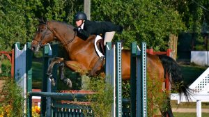 Olivia Walt rides Alfie, her favorite jumping horse. (Submitted photo)